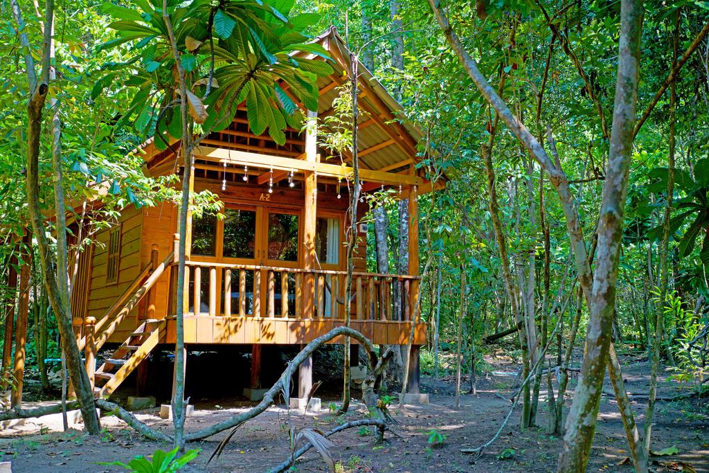  Tree House Bungalow  Book Tree House Bungalow  in 